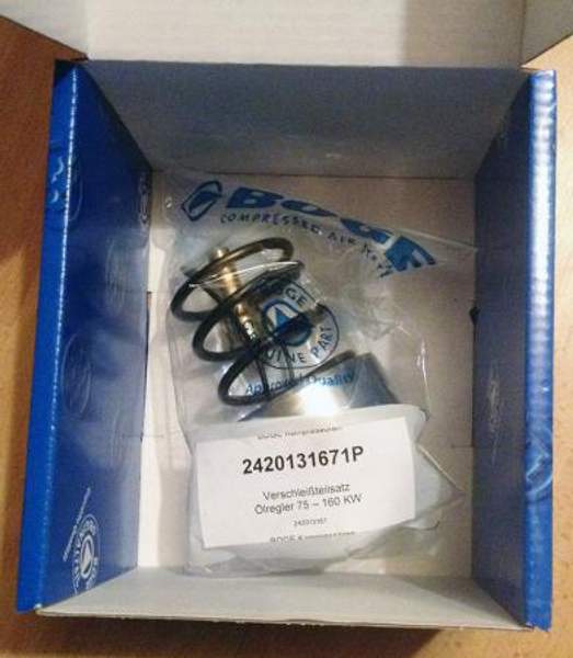 2420131671P Ремкомплект термостата 75-160 кВт