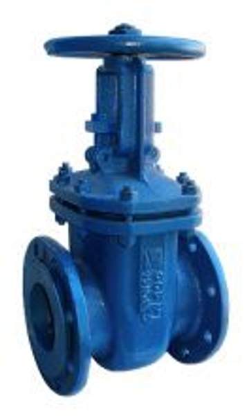 30лс41нж ХЛ1 Ду300 Ру16