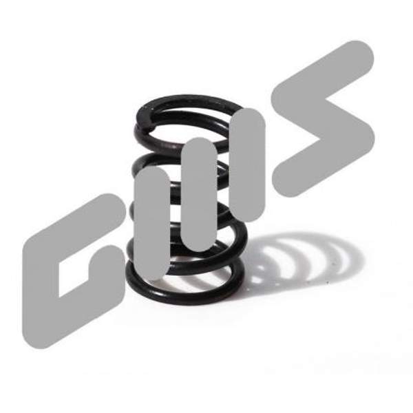 483.029 Пружина