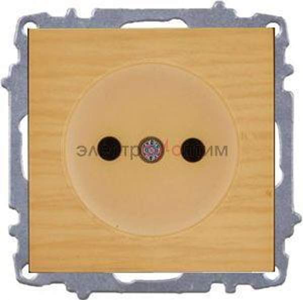 ABB ZENA береза - розетка СУ 1-местная б/з модуль EL-BI ABB