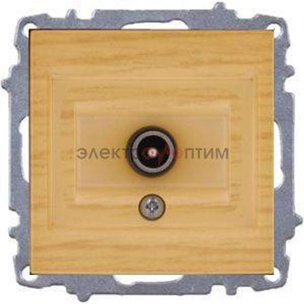 ABB ZENA береза - розетка СУ телевизионная проходная 1-местная модуль EL-BI ABB