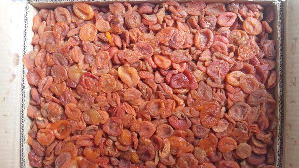 Абрикос, Экстра, Энтегре, Турция