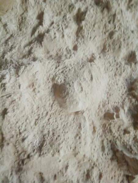 Адсорбент микотоксинов