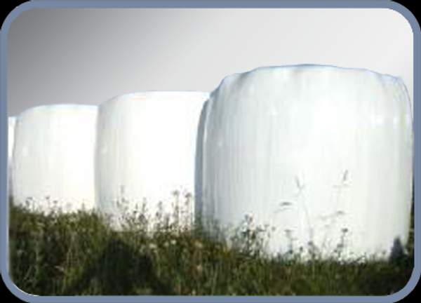 Агростретч RANIWRAP 500 мм