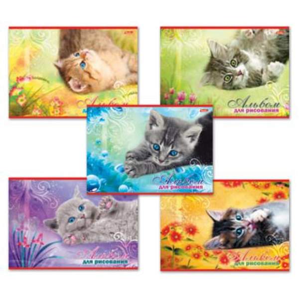 Альбом для рисования, А4, 20 листов, обложка картон, HATBER, 205х290 мм, "Котята", 20А4В