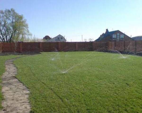 Автоматический полив