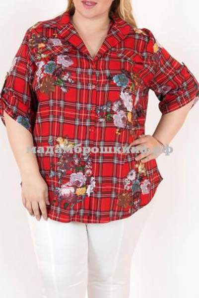 Батник Лори-трикотаж Луиза