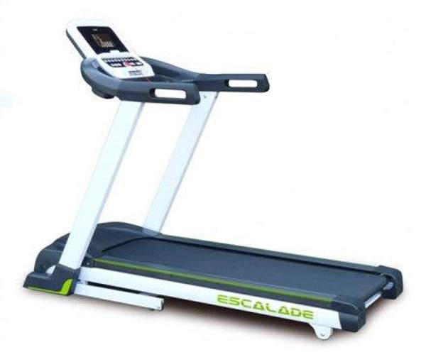 Беговое полотно для беговой дорожки Eurofit ( Еврофит)