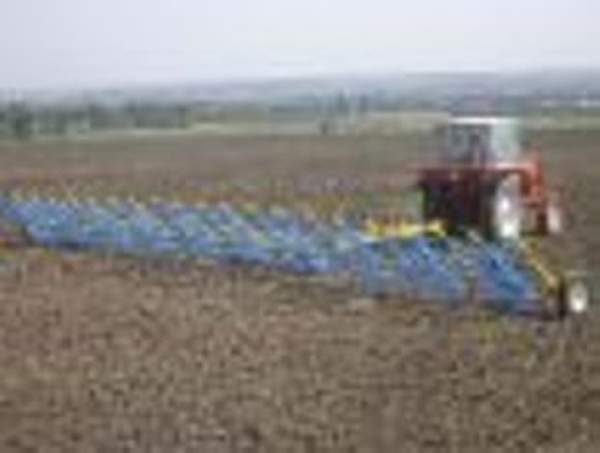 Борона пружинная БЗП-24.5