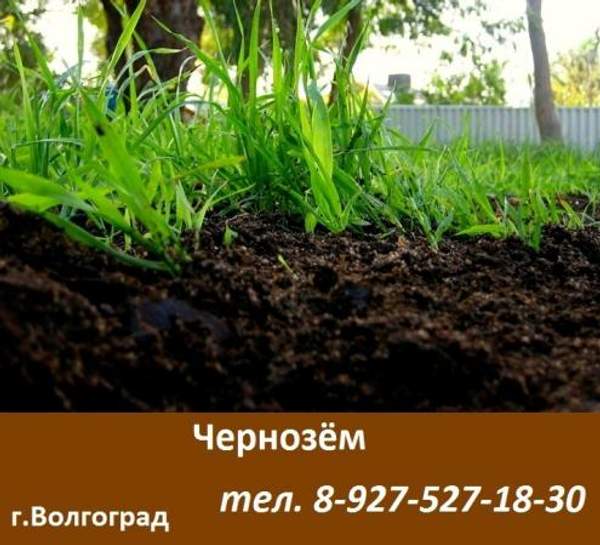 Чернозем / грунт плодородный / удобрение