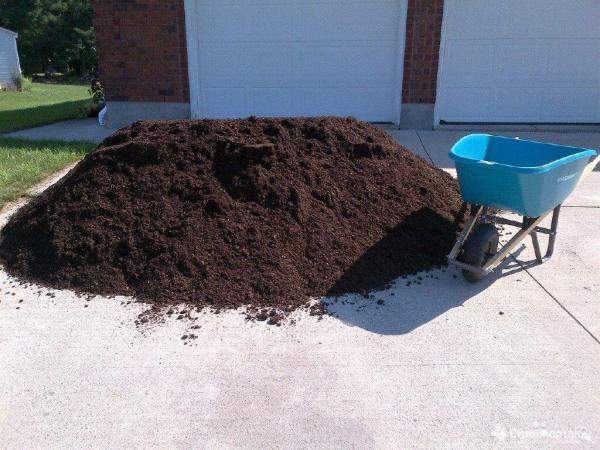 Чернозем Колпино СПб навалом и в мешках