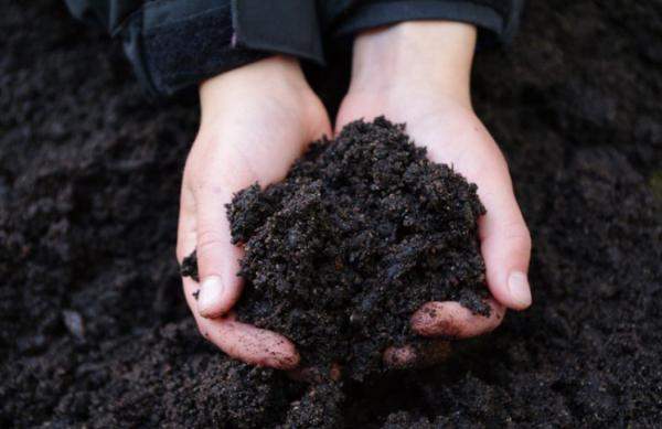 Чернозем плодородный с доставкой Федоровское