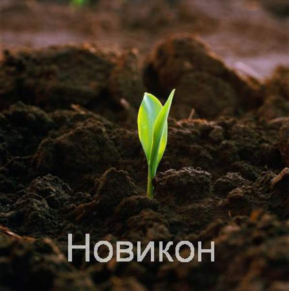 Чернозем с доставкой в Глебовку