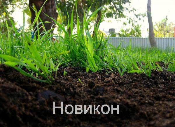 Чернозем с доставкой в Широкую Балку