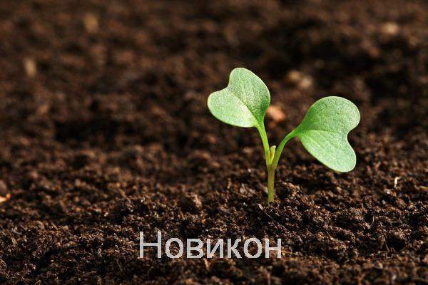 Чернозем с доставкой в Южную, Северную Озереевку