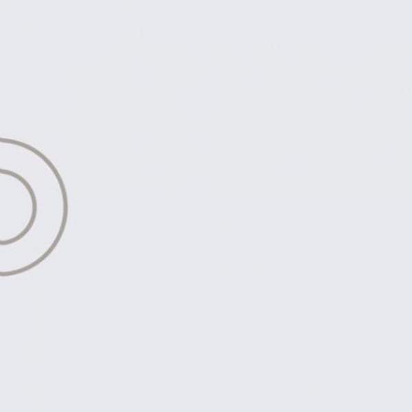 Декор Bardelli Arianna Platino 4B 20x20