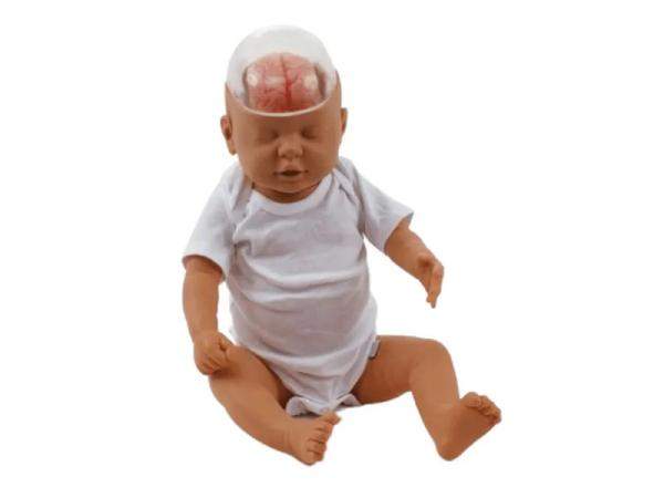 Демонстрационная модель ребёнка с травмой от «тряски»