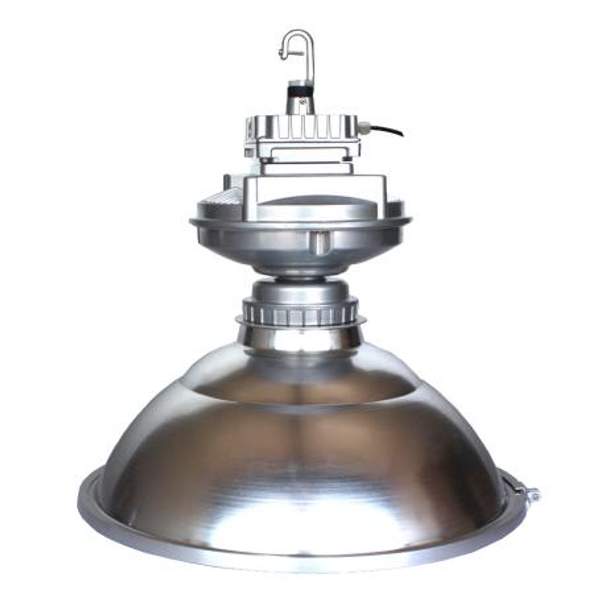 DLI-21-300-30-XXX промышленный индукционный светильник