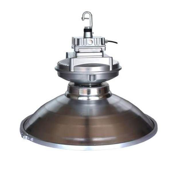 DLI-22-120-30-XXX промышленный индукционный светильник