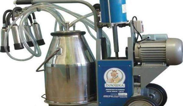 Доильный аппарат для коров