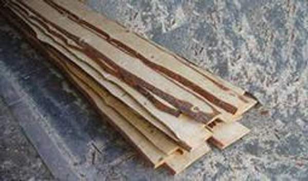 Доска дачная обрезная 25х100х1,2 М