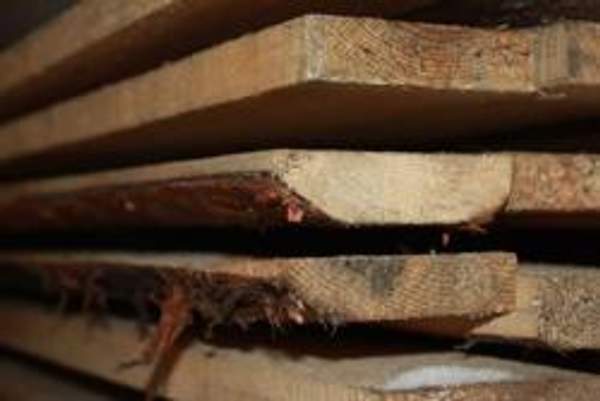 Доска дачная обрезная 25х100х1,2 П