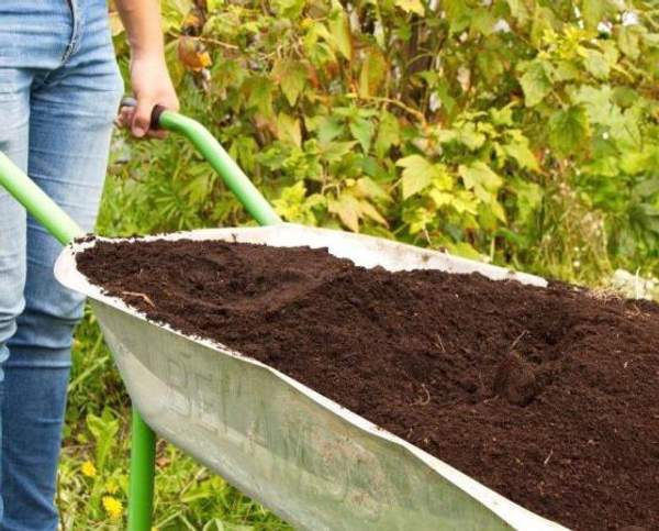 Доставка Чернозема Пушкин СПб