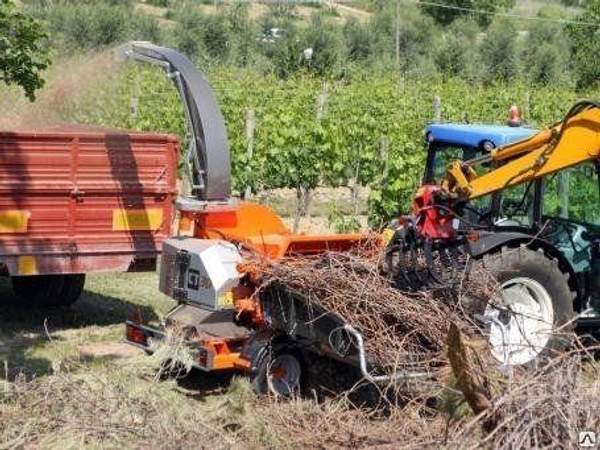 Дробильная машина для древесины Gandini 30/60 MTS