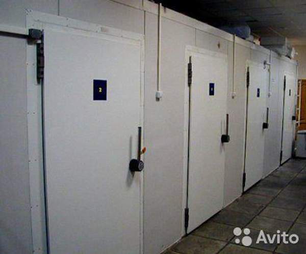 Дверь для холодильной камеры 800х1980х80 мм