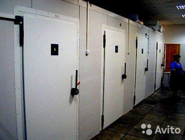 Дверь для холодильной камеры 830х1930х80 мм