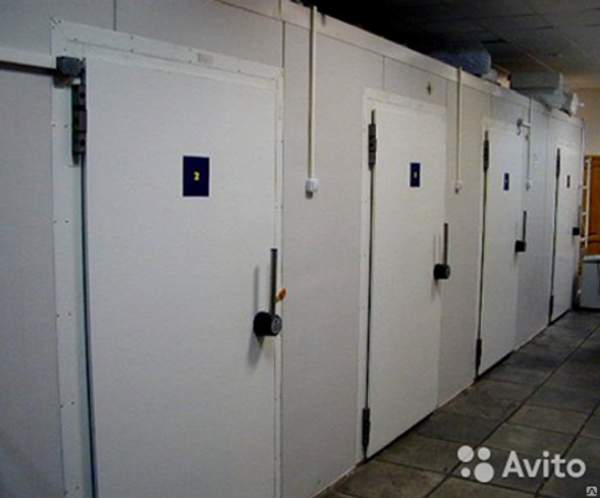 Дверь для холодильной камеры, Ширина 800мм, высота 1980мм