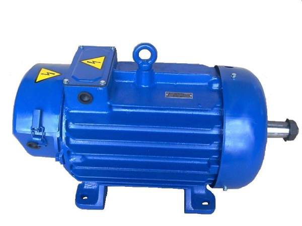 Электродвигатель 4МТМ 200 LB8 22/715 кВт/об