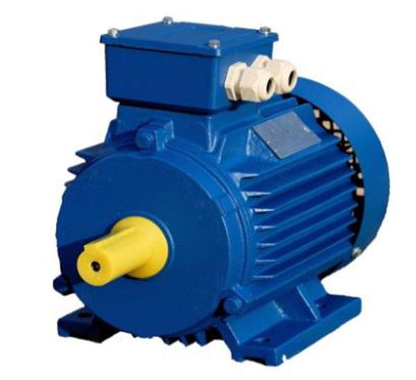Электродвигатель асинхронный АИР 100L4 (4,0кВт/1500об.мин.)