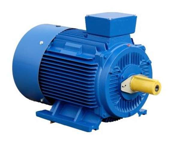 Электродвигатель асинхронный АИР 280S8 (55кВт/750об.мин.)
