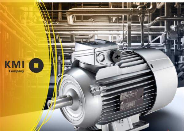 Электродвигатель АВВ, IE2 2,2x1000x2001 3GAA113212-ASE009