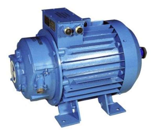 Электродвигатель крановый МТН 711-10 (100кВт/600об.мин.)