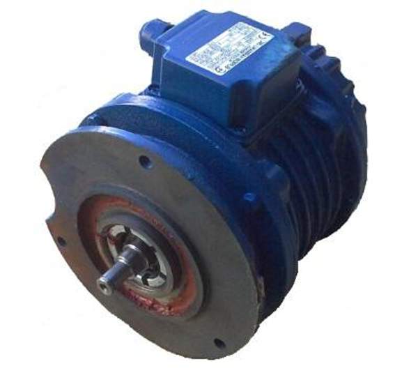 Электродвигатель передвижения АВЕ 100D12/4 (0,37/1,1кВт/390/1390об.мин.)