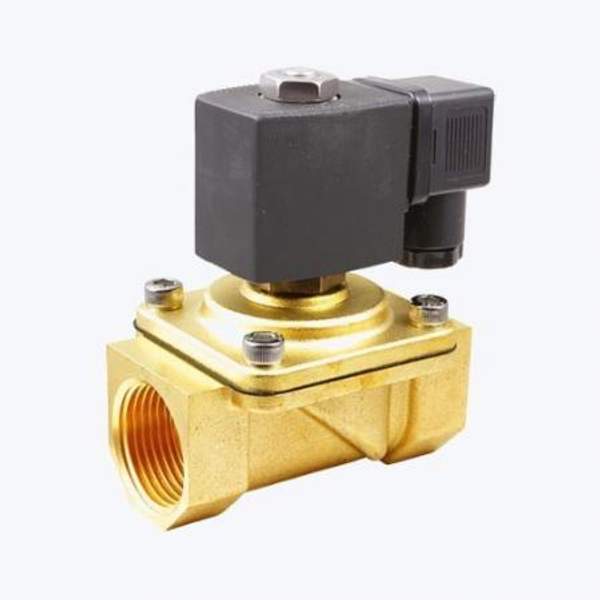 Электромагнитный, соленоидный клапан 2W41-20 GBV AC220В