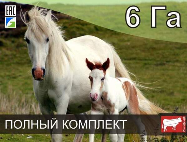 Электропастух для лошадей на 6 га / 1 километр в 2 ряда