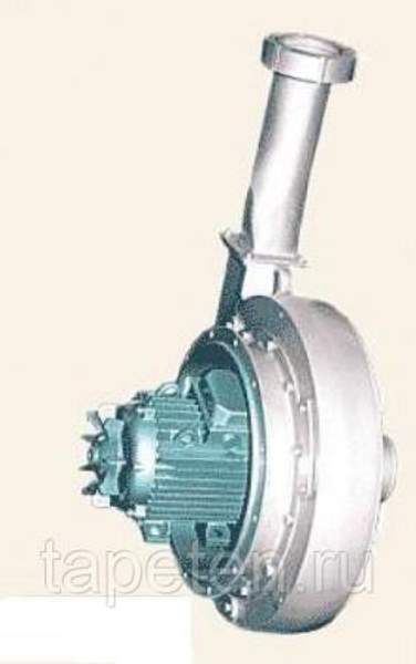 Энтолейтор Р6-БЭР