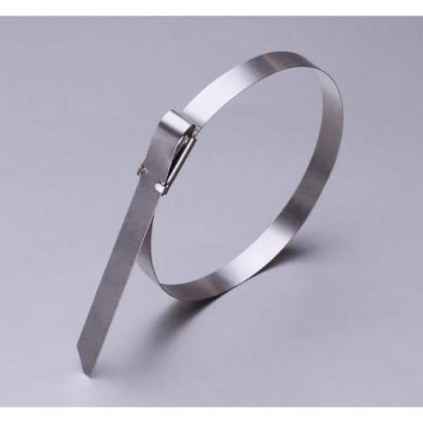 FORTISFLEX Стяжки кабельные стальные СКС (316) 4,6*350 FORTISFLEX