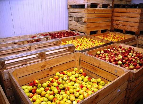 Фруктохранилища.Проектирование.Строительство под ключ.