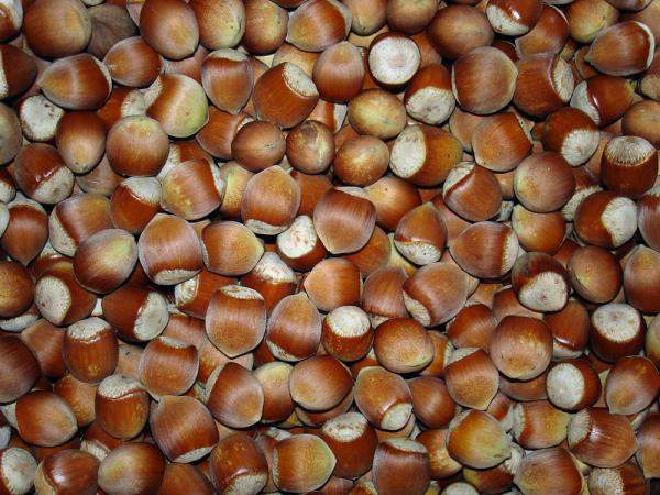 Фундук 13/15, 15+, 15/17 Грузия