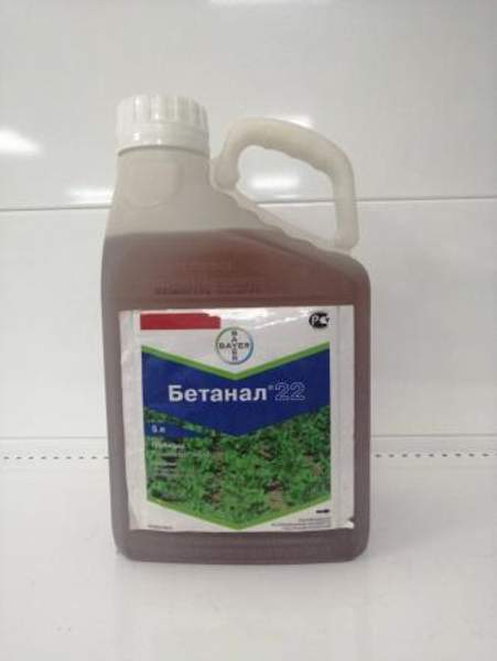 Гербицид Бетанал 22, КЭ