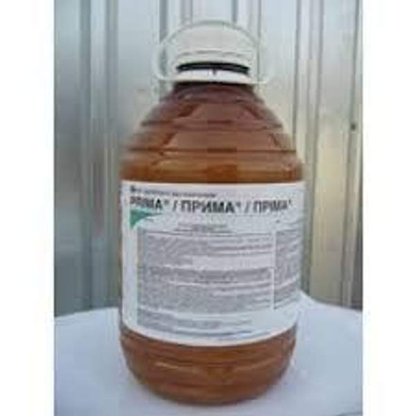 Гербицид ПРИМА, СЭ (300+6,25 г/л) КАН. 5 Л.