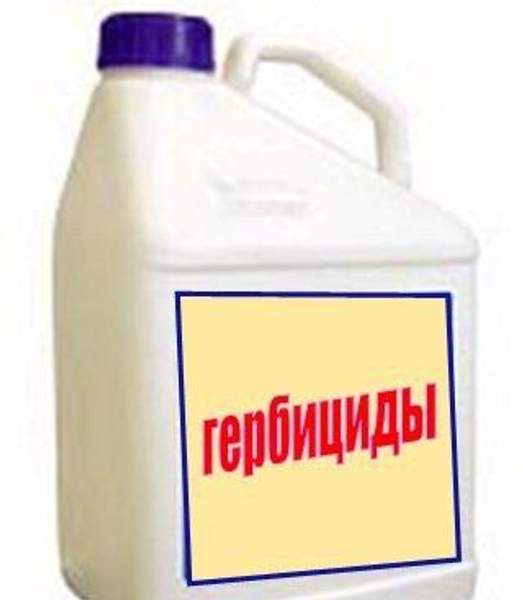 Гербициды БАЛЕРИНА+ПЛУГГЕР