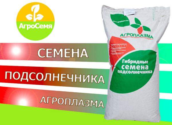 Гибриды семена подсолнечника Экселент (Экспресс)