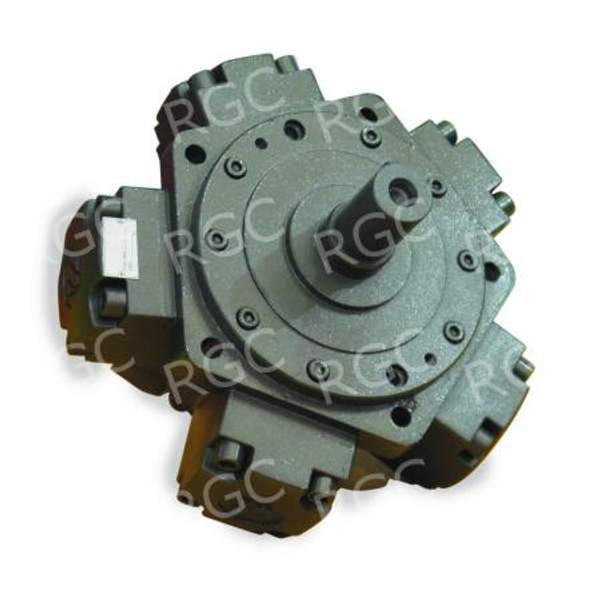 Гидромотор RGDG2-200-D31