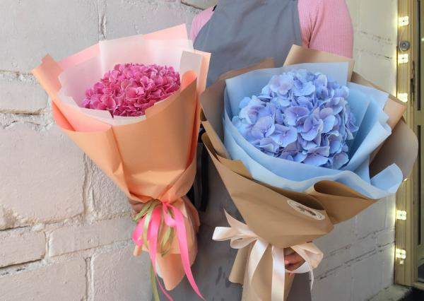 Гортензия Мини Букет