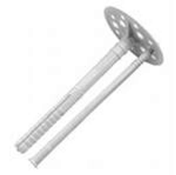 Грибок строительный